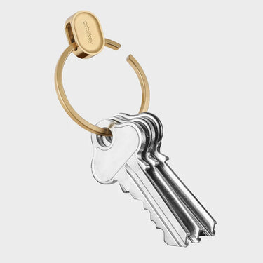 DIVERS RING V2 OR OR