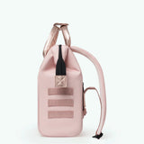 SAC QUERETARO SMA ADVENT ROSE ROSE