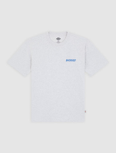 T-SHIRT HOMME DRY RIDGE GRIS GRIS