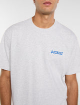 T-SHIRT HOMME DRY RIDGE GRIS GRIS