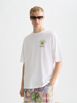 T-SHIRT HOMME BLANC BLANC