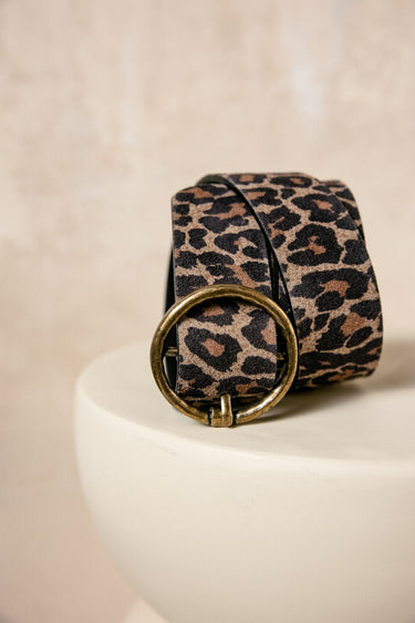 CEINTURE ANGELISA LEO LATTE LATTE