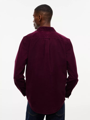 CHEMISE HOMME REG BABY CORDUROY CALYPSO BERRY CALYPSO BERRY