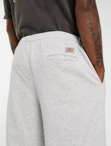 SHORTS HOMME STREETSBORO GRIS CLAIR GRIS CLAIR