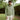 SWEAT HOMME DIRAC KAKI KAKI