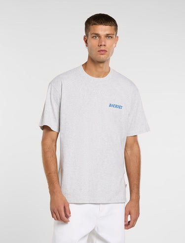 T-SHIRT HOMME DRY RIDGE GRIS GRIS