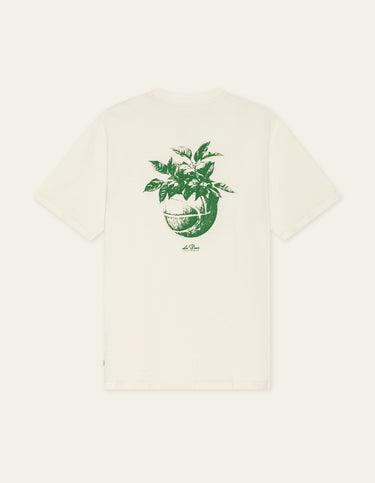 T-SHIRT HOMME PLANT ECRU ECRU