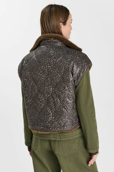 VESTE FEMME FAUVE BEAR BEAR
